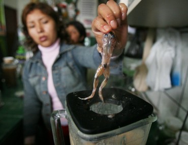 this-skinned-frog-is-about-to-be-blended-to-make-a-drink-at-a-market-in-san-juan-de-lurigancho-lima-the-capital-of-peru