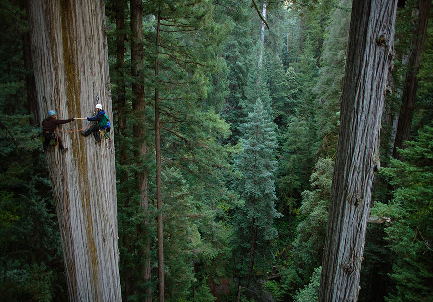 scary-photos-19