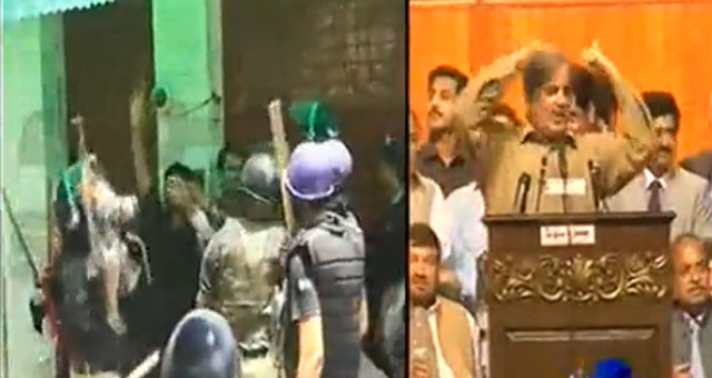 PAT Workers, PAT, PMLN, FAheem Noman, Governance, Pakistan