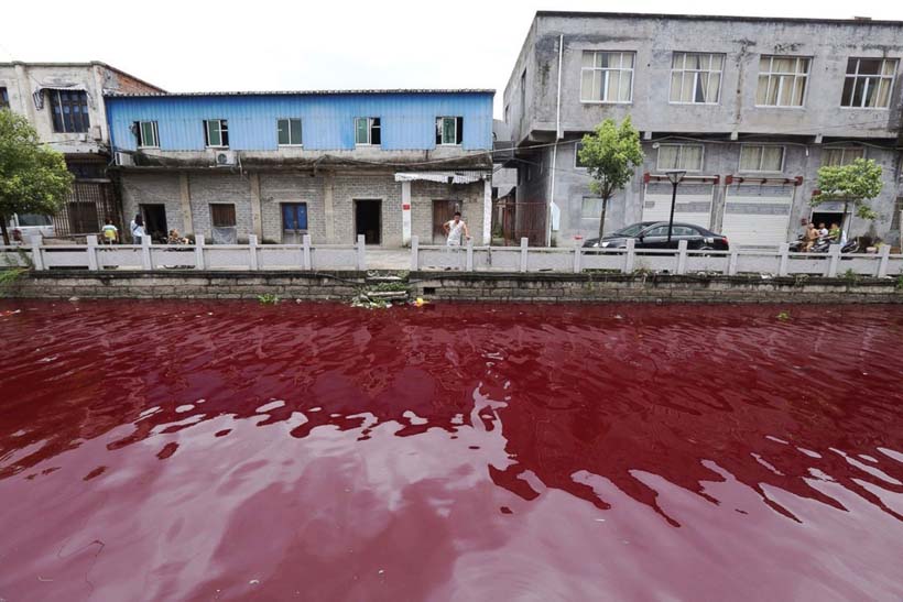 China, China Mysteriously Turns Bloody Red Overnight, River In China, News, World News