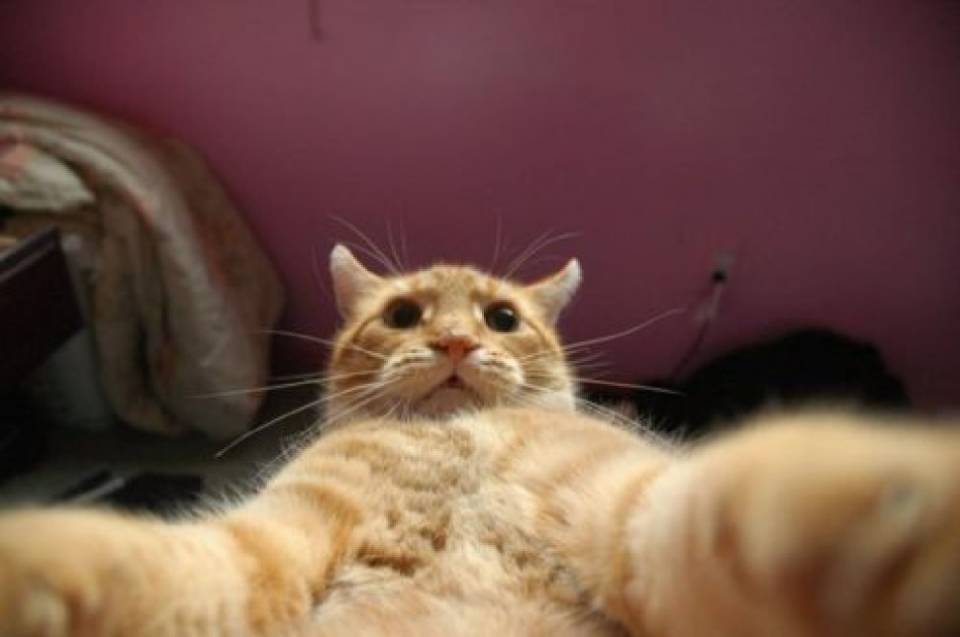 Selfie Times
