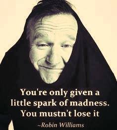 Robin William Quotes
