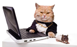 Keeping-your-technology-safe-from-pets