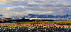 Deosai Plains, Pakistan