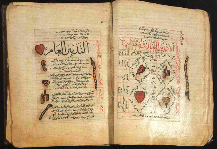 Ibn Sina 