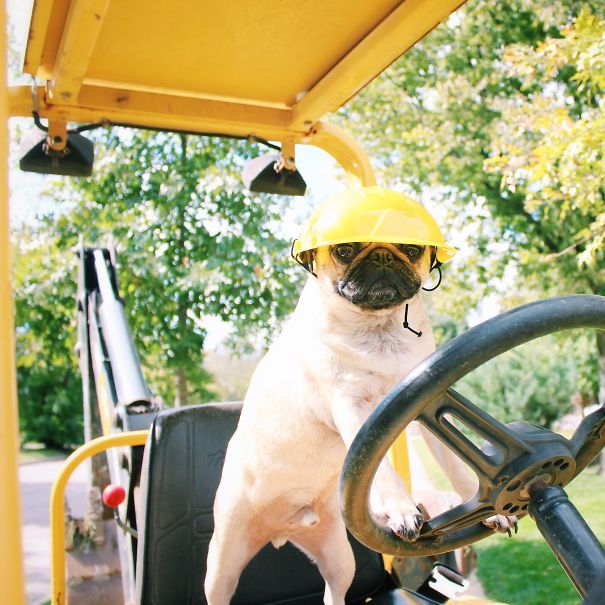 Doug-the-Builder__605