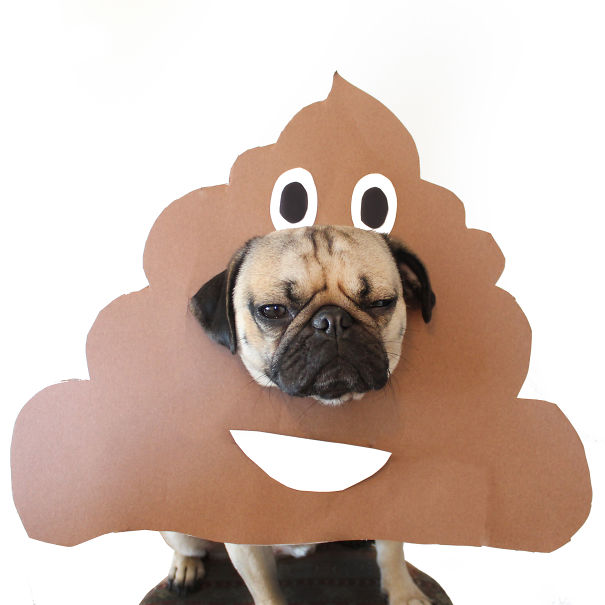 Poop-Emoji__605