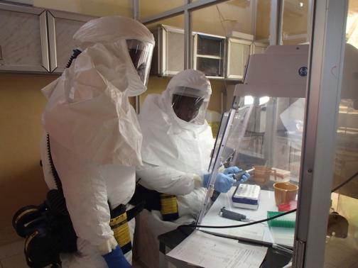 Handout picture of U.S. Army Medical Research Institute of Infectious Diseases technician setting up an assay for Ebola within a containment laboratory