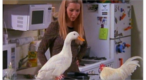 duck
