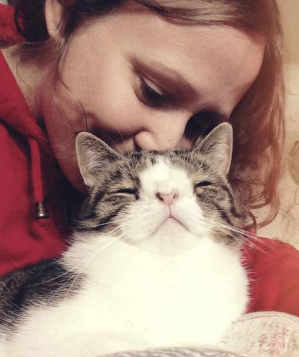 cute-cat-without-nosal-bone-monty-9