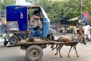 Pakistan Among Top 3 Countries To Have The Most Donkeys!