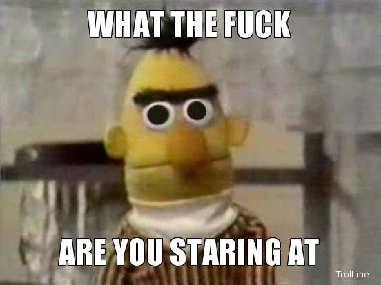 what-the-fuck-are-you-staring-at