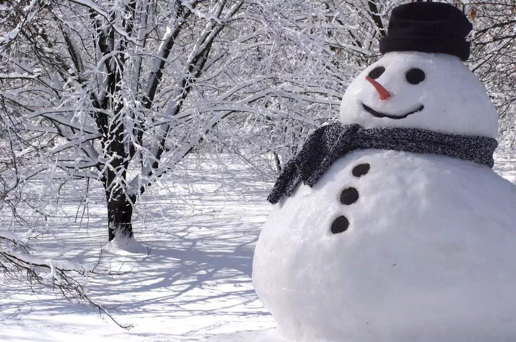 Saudi-Cleric-declares-snowmen-forbidden-parhlo.com