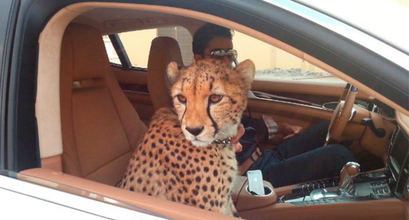 images-encapsulate-extravagant-life-dubai (23)