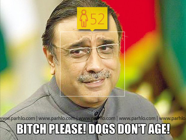 6 copy