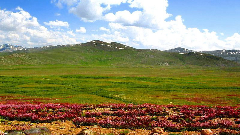 Deosai 1