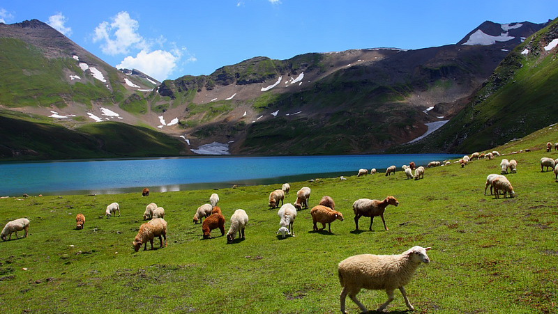 Deosai Plateau