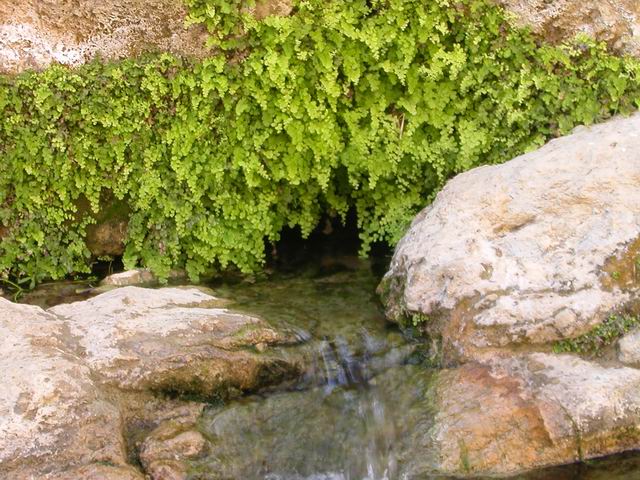 Gorakh Hills