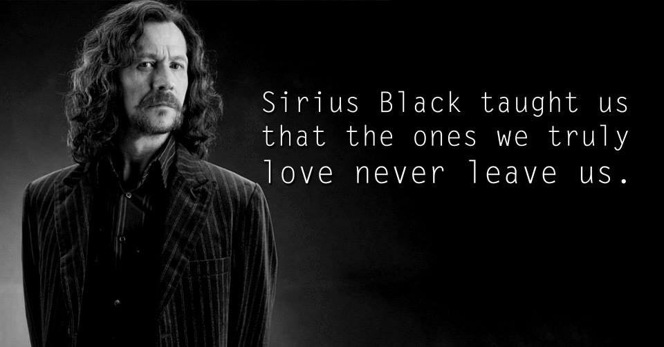 Harry-Potter-characters-teach-parhlo (15)