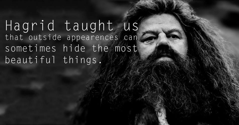 Harry-Potter-characters-teach-parhlo (24)