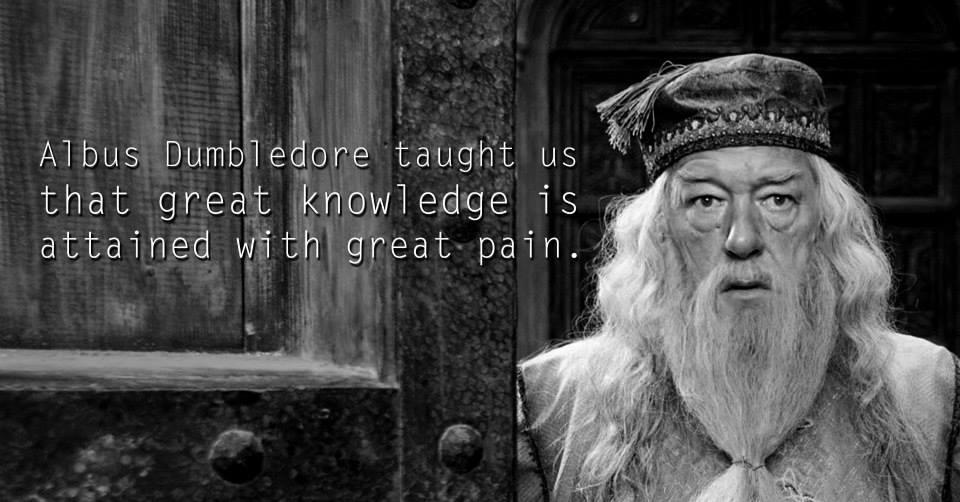 Harry-Potter-characters-teach-parhlo (5)