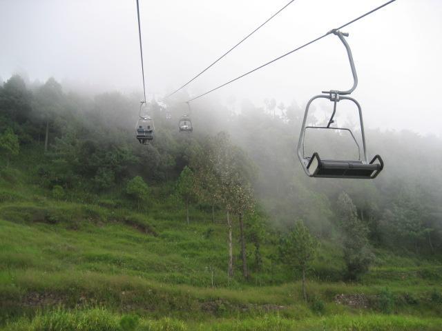 Patriata