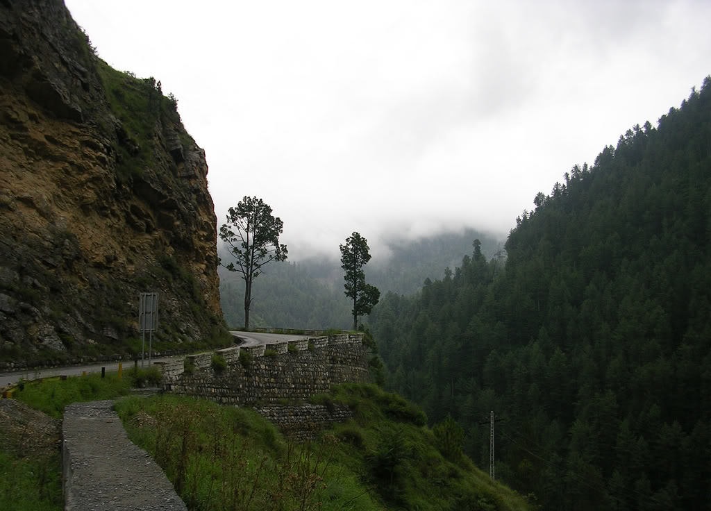 Ayubia