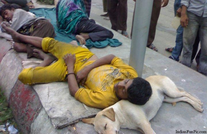 beggar-sleeping-with-dog-funny-india-02