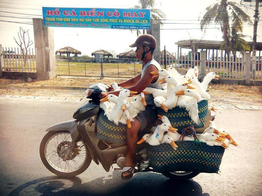 Overloaded-vehicles-parhlo (3)