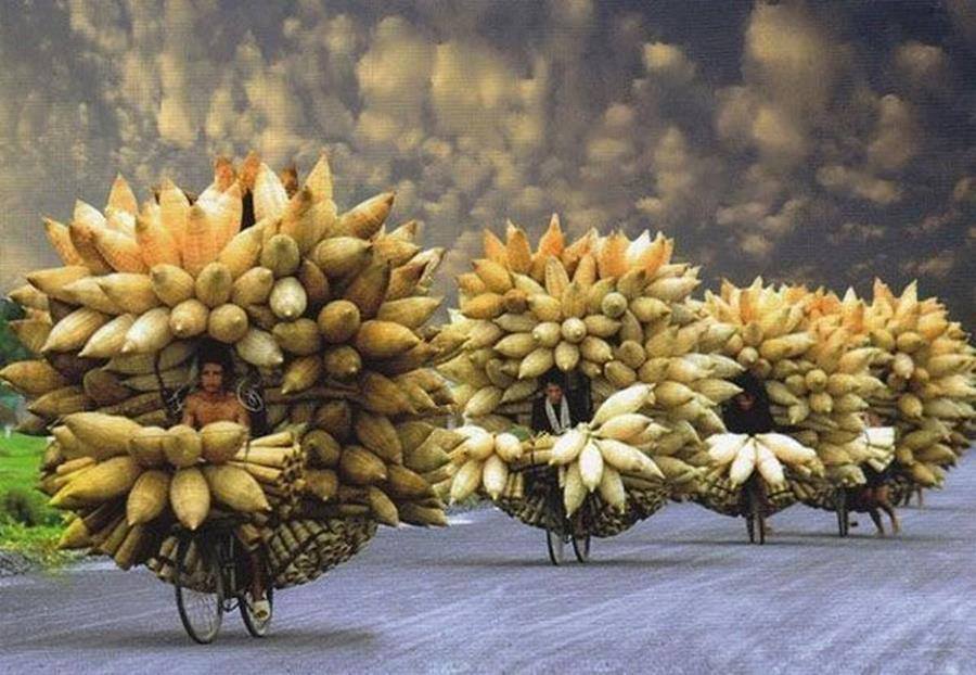 Overloaded-vehicles-parhlo (8)