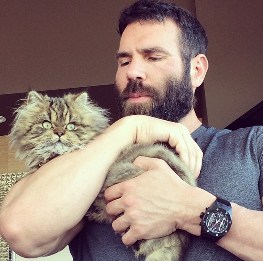 Dan bilzerian hot sale cat breed