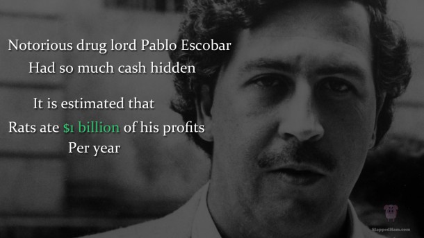 Colombian Farmer Finds Pablo Escobar's $600,000,000 Buried On His Farm