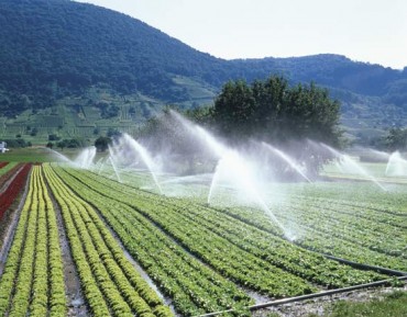 irrigation-pakistan