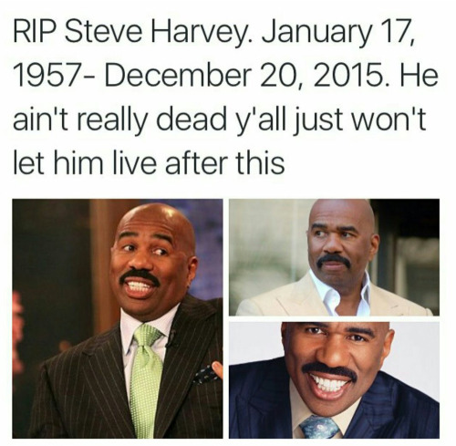 steve harvey-tumblr