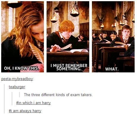 exam- tumblr