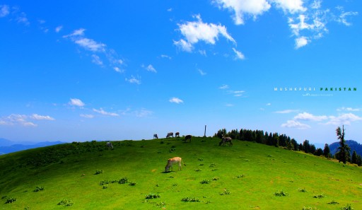 Source: 500px.com