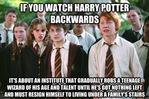 Harry potter essays mugglenet