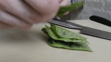 Basil
