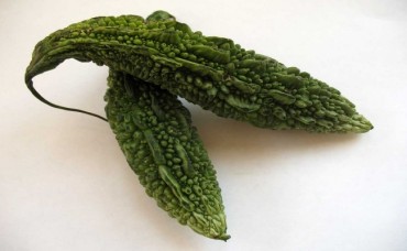 Bitter-Gourd