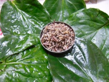 Paan_supari