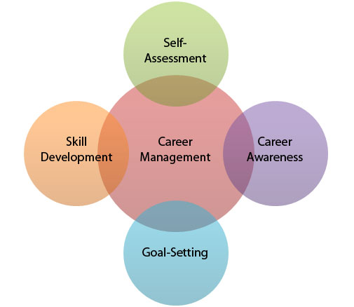 Career Development Programs - A Necessity For Small Scale Organizations