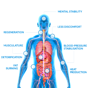 Source: fasting-detox.com