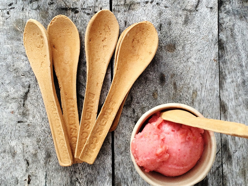 Narayana Peesapati from India Introduces Edible Cutlery!