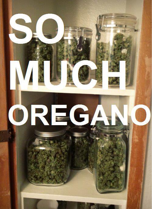 tumblr_md8wo21F9N1qjmo7no1_500