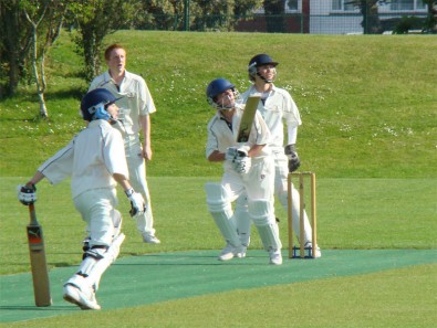 school cricket