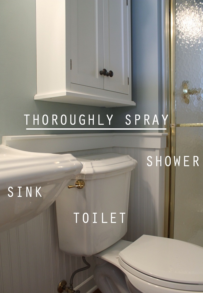 Thoroughly-spray-sink-toilet-shower-via-Clean-Mama-1
