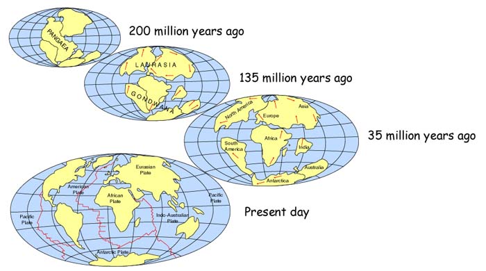 continental drift
