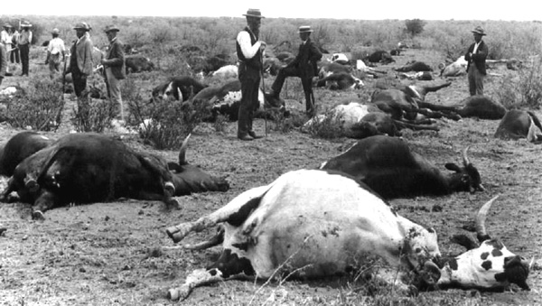 Why Species Extinction Is Your Problem Too