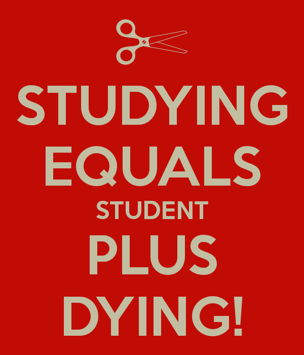 studying-equals-student-plus-dying