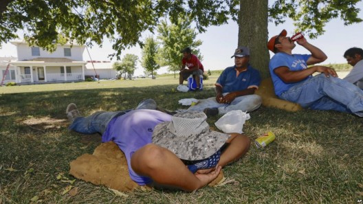 under the shade against heat